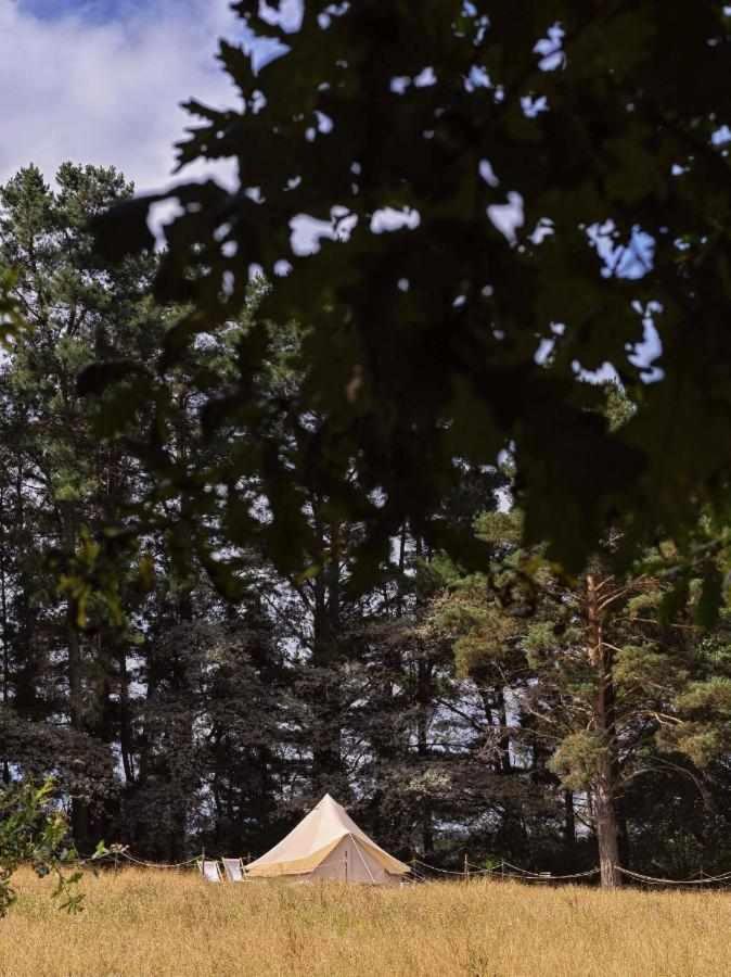 A Leira 116 Cabanas De Diseno Саррия Екстериор снимка